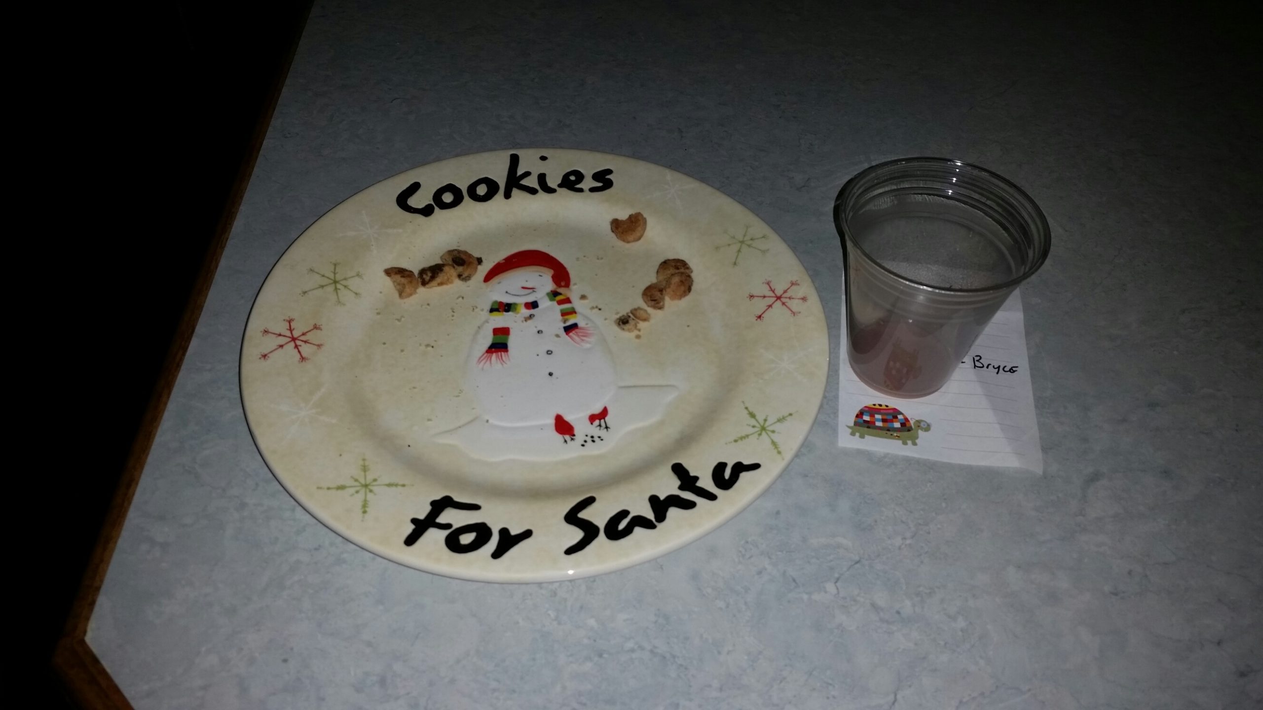 santas cookies 2014