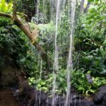 botanical garden waterfall